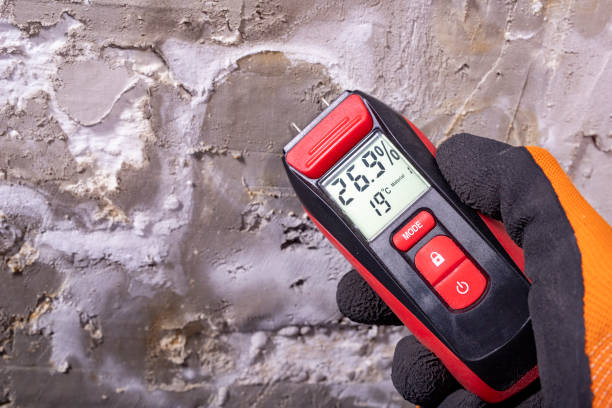 Best Kitchen Mold Remediation in Lakeview, OH